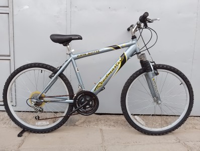 Roadmaster MTN.sport SX